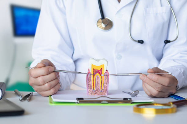 Best Emergency Tooth Extraction in New Roads, LA